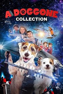 Muhteşem Köpek Serisi