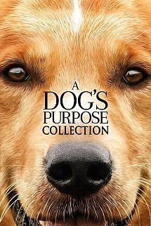 A Dog's Purpose Serisi