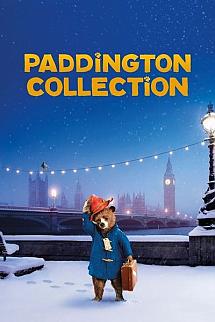 Ayı Paddington Serisi
