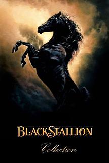 The Black Stallion Serisi