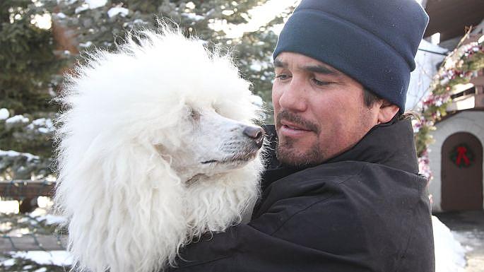 Noel Tatilini Kurtaran Köpek