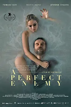 A Perfect Enemy