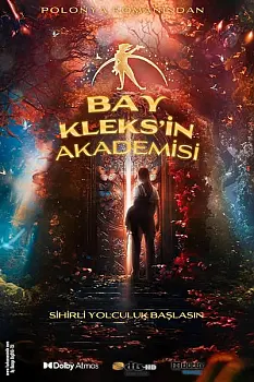 Bay Kleks'in Akademisi