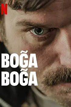 Boğa Boğa