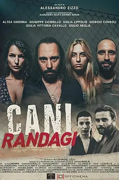 Cani randagi