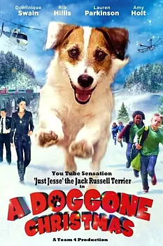 Muhteşem Köpek