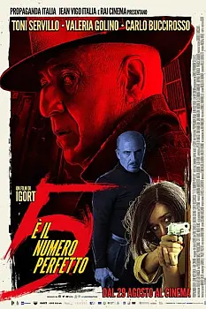 Mükemmel sayı 5