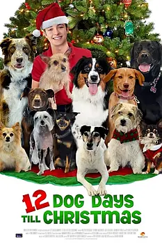 Noel' in 12 Köpeği