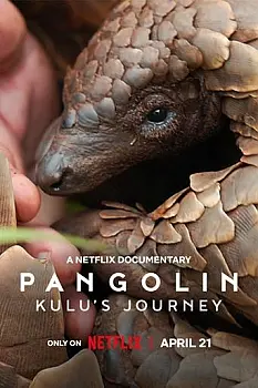 Pangolin: Kulu'nun Yolculuğu
