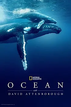 David Attenborough ile Okyanuslar